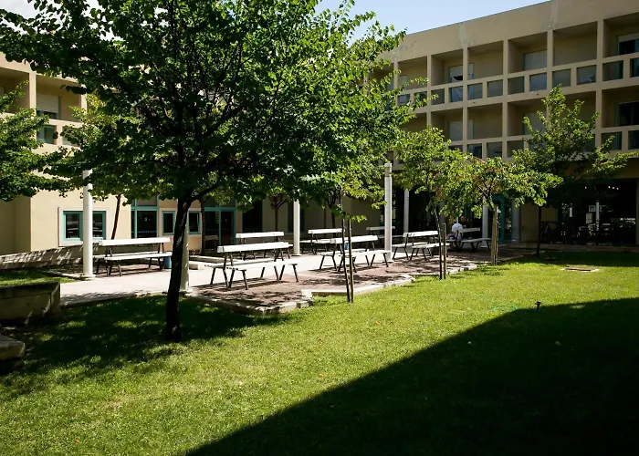 אכסניה Spinut *