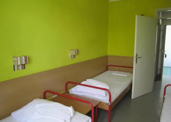 אכסניה Spinut *