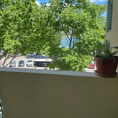 Spinut אכסניה *